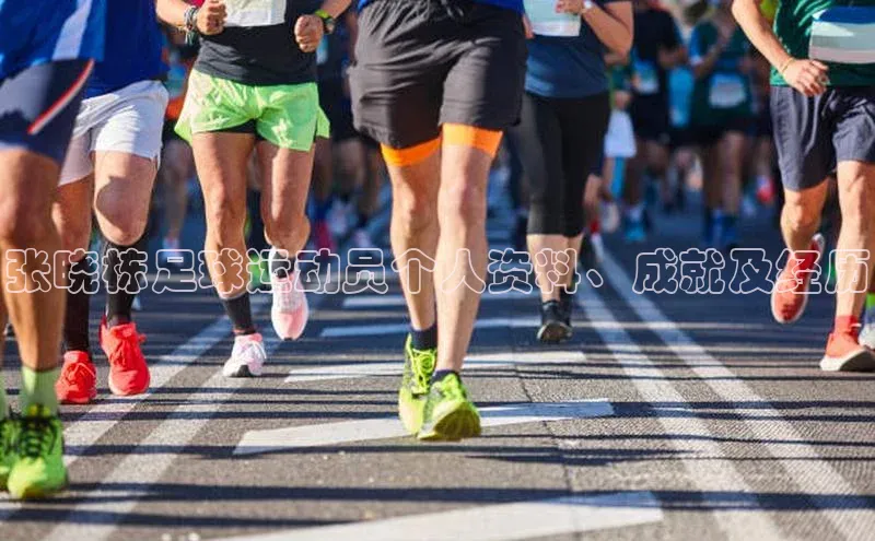 球速体育网页版登录入口百度集团张晓栋足球运动员个人资料、成就及经历