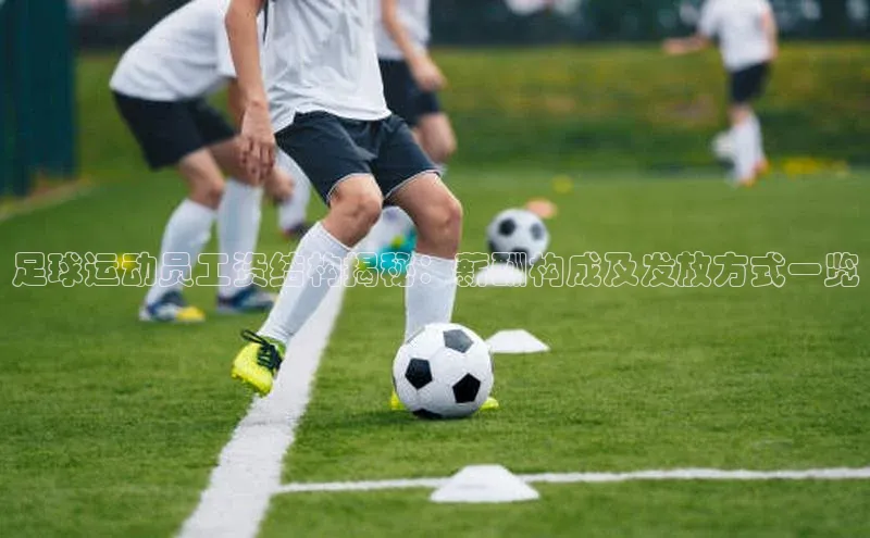 球速体育官网福石控股足球运动员工资结构揭秘：薪酬构成及发放方式一览