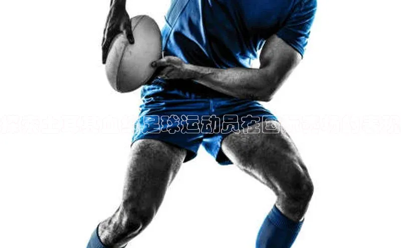 球速体育官方入口百度智能云探索土耳其血统足球运动员在国际赛场的表现