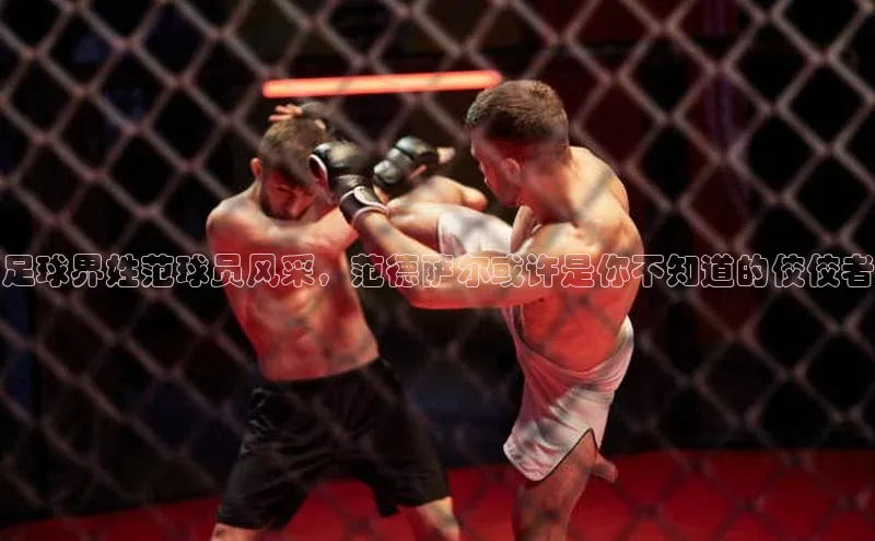 球速体育app度小满理财足球界姓范球员风采，范德萨尔或许是你不知道的佼佼者