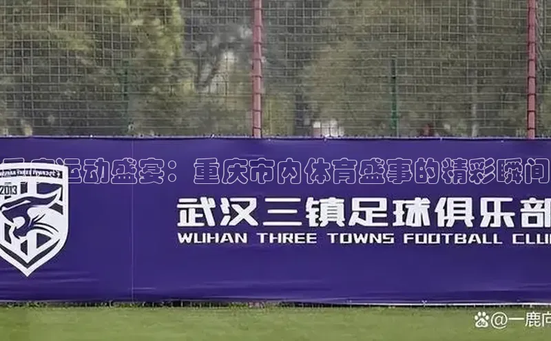 球速体育welcome百度教育重庆运动盛宴：重庆市内体育盛事的精彩瞬间