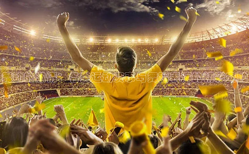 球速体育入口云创智行舞动的激情：各类运动赛事与舞蹈表演的精彩交融