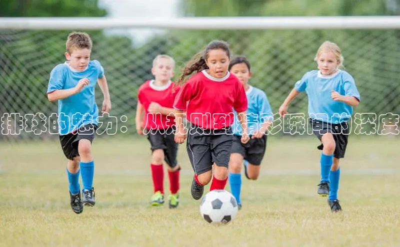 排球的魅力：从规则到精彩瞬间的深度