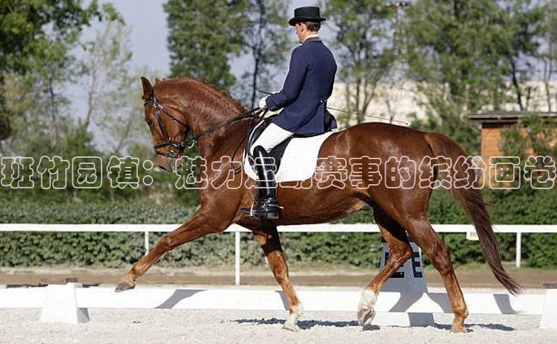 班竹园镇：魅力运动赛事的缤纷画卷