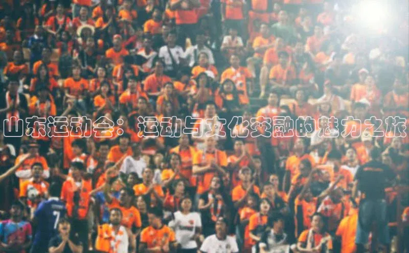 山东运动会：运动与文化交融的魅力之旅