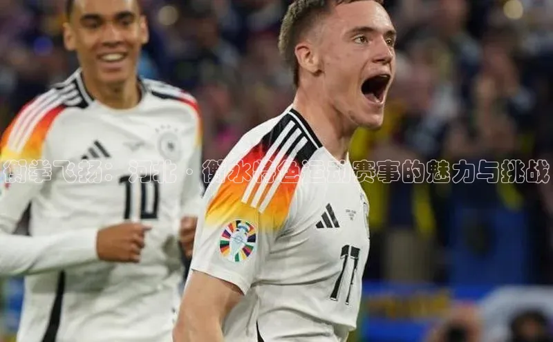 衡拳飞扬：河北·衡水特色运动赛事的魅力与挑战