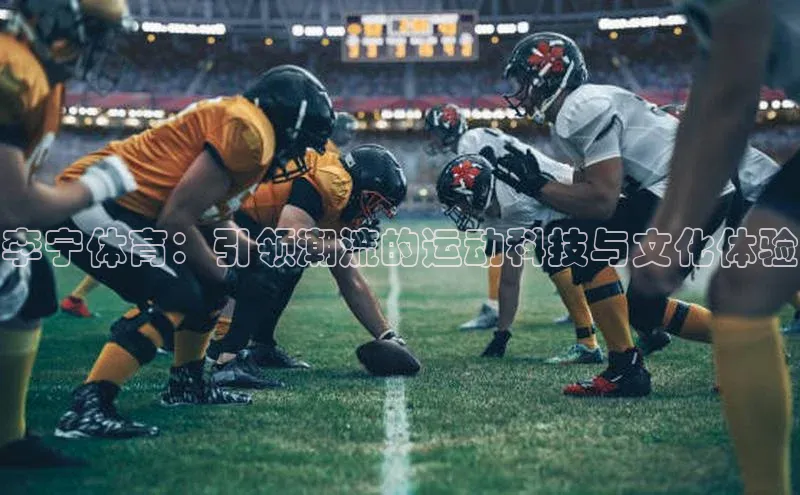 李宁体育：引领潮流的运动科技与文化体验