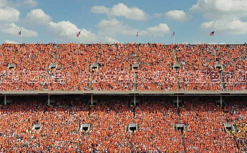 趣味运动会：为小学生带来欢乐的绿色跑道