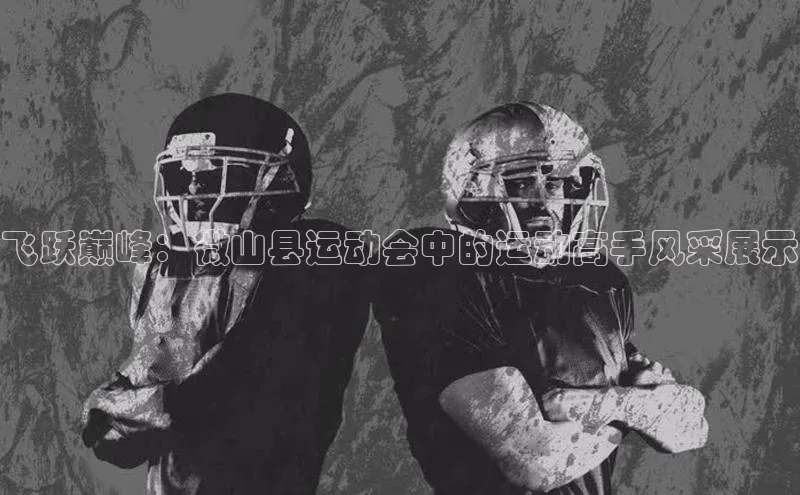 飞跃巅峰：微山县运动会中的运动高手风采展示