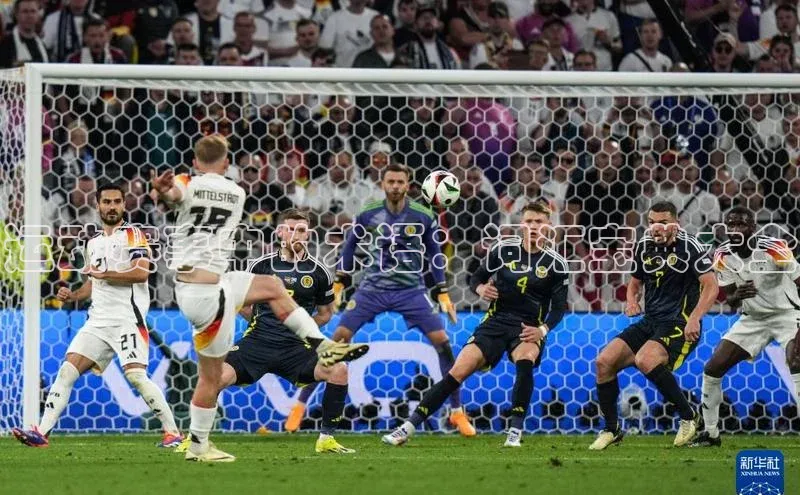 运动赛事中的术语：词汇宝典大全