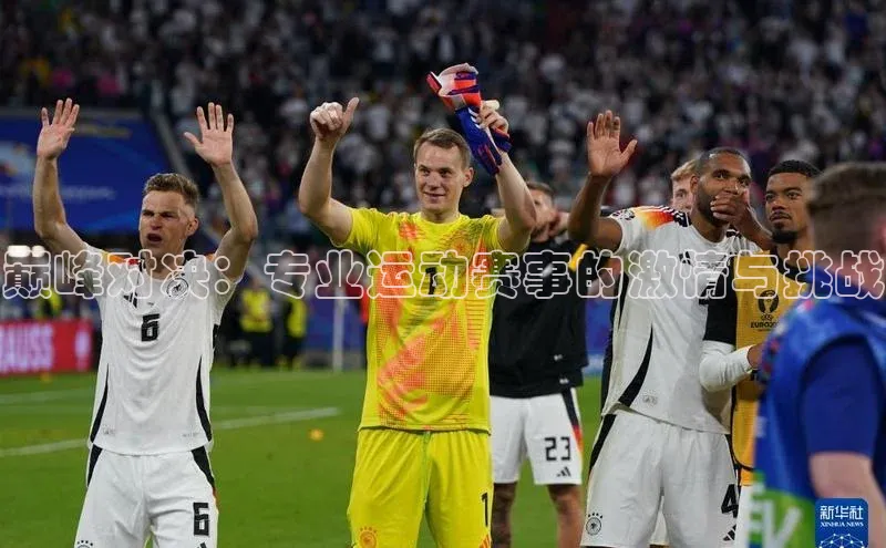 巅峰对决：专业运动赛事的激情与挑战