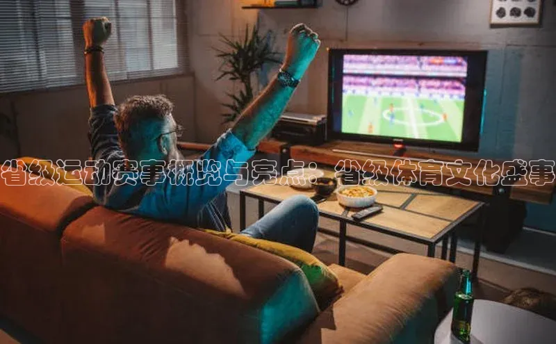 省级运动赛事概览与亮点：省级体育文化盛事