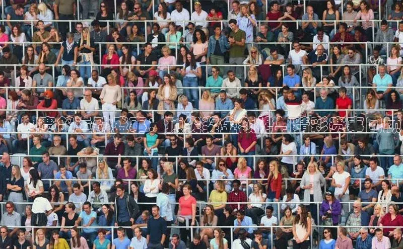 中国赛鸽运动盛事：顶尖奖金额榜与精彩赛事回顾