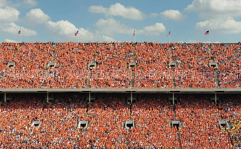 构建全球视野：大型运动赛事申办的关键标准与策略分析