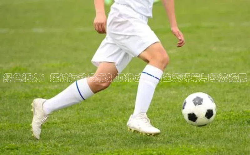 球速体育app下载地址手机版