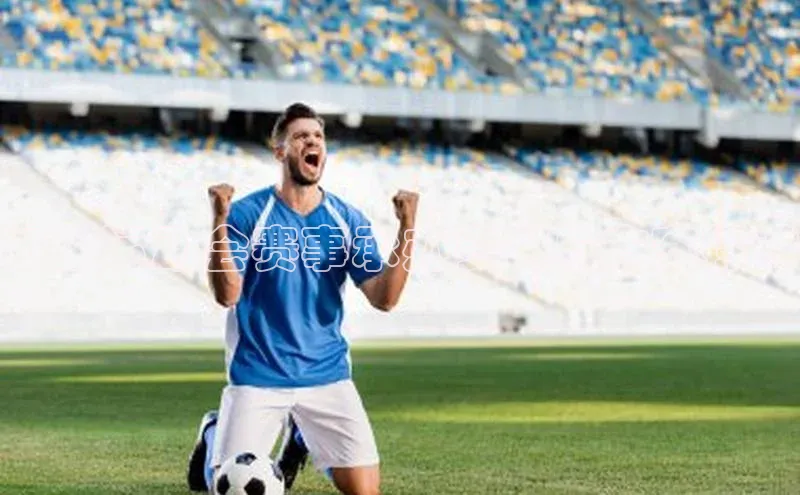 云南运动会赛事承办费用与方案探讨