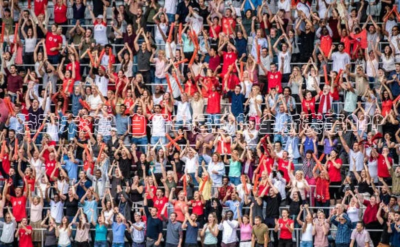 球速体育平台官网入口