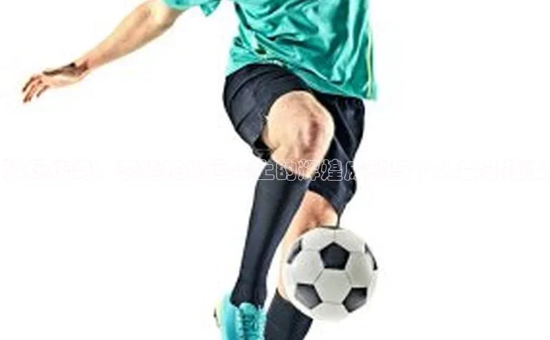 泳坛传奇：李华在奥运会上的辉煌成就与个人奋斗故事